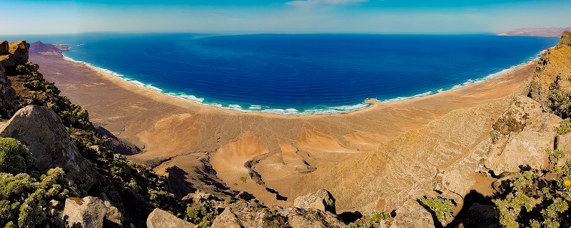 Zarza - Fuerteventura 2020