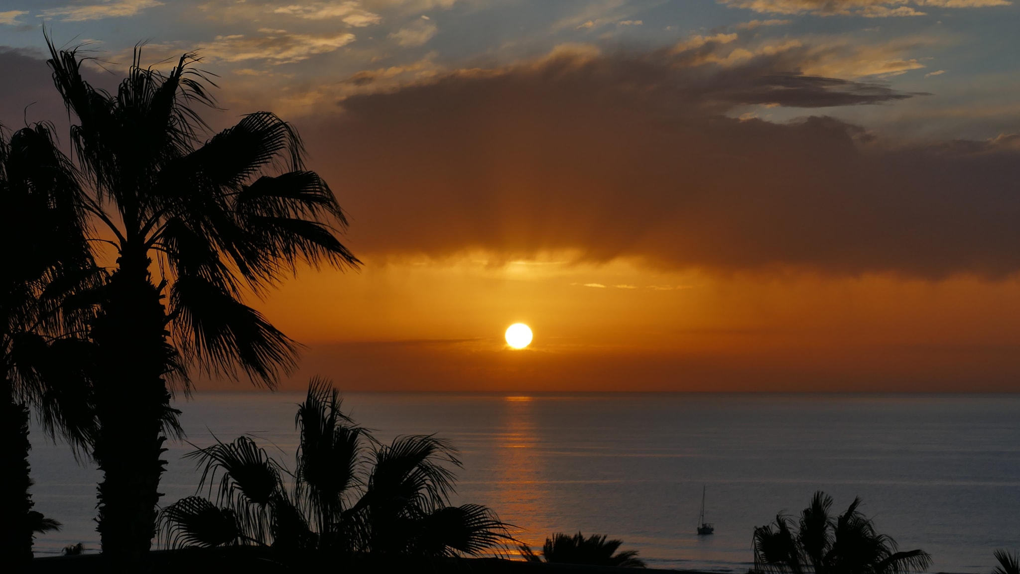 Occidental Jandia Playa Sunrise 1
